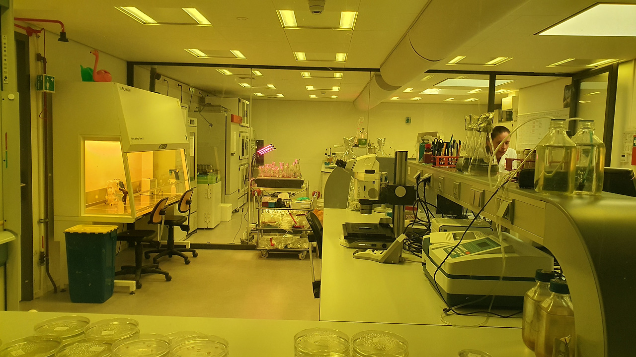 24 KakaoTalk_20230420_053226913_05.jpg