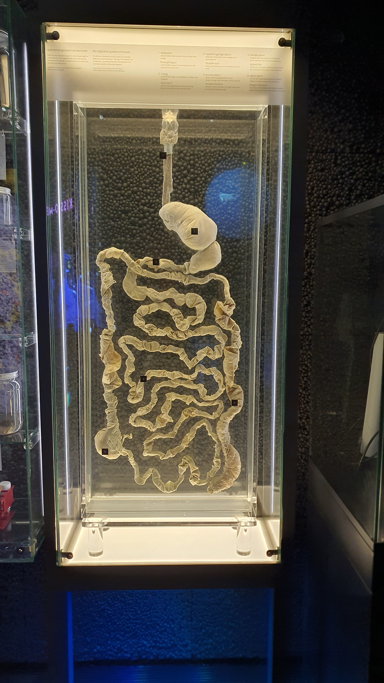 31 KakaoTalk_20230420_053223050_21.jpg