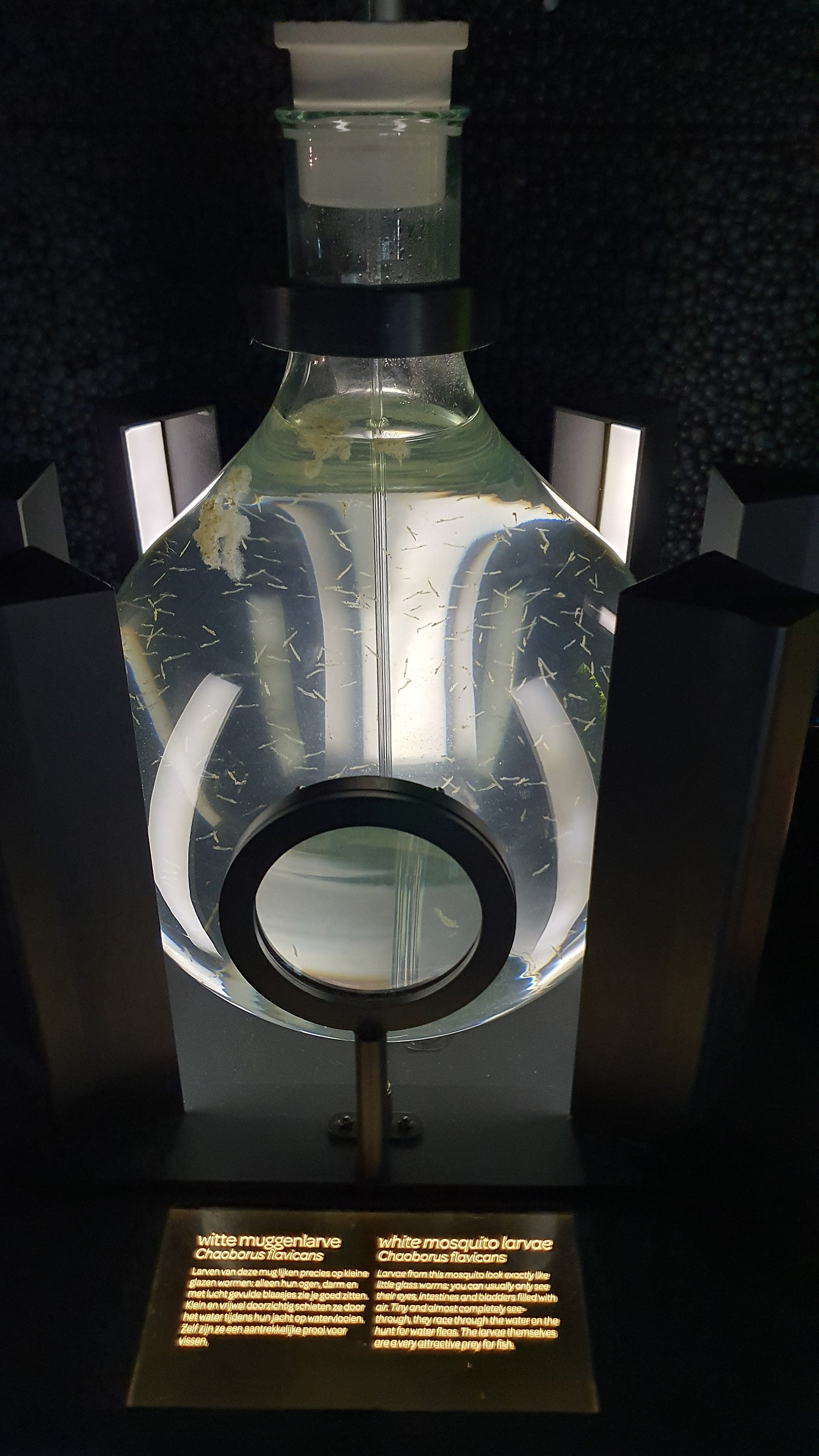 14. KakaoTalk_20230420_053613536_15.jpg