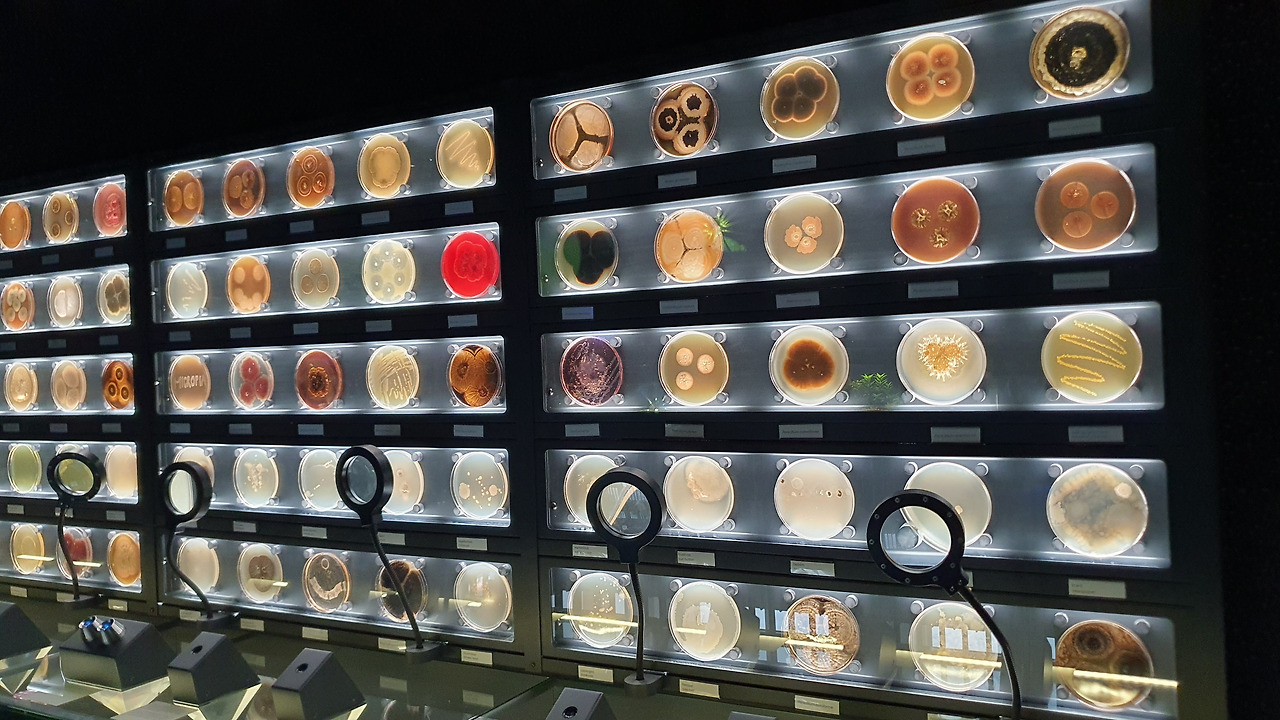 36 KakaoTalk_20230420_053223050_13.jpg