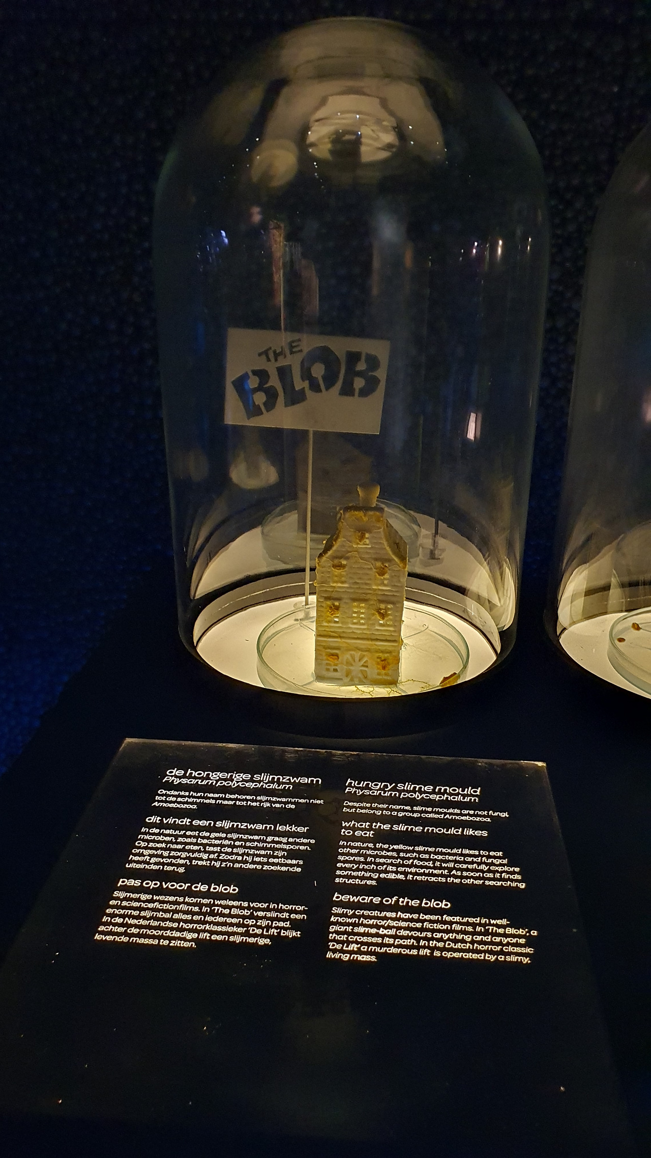 17 KakaoTalk_20230420_053613536_02.jpg