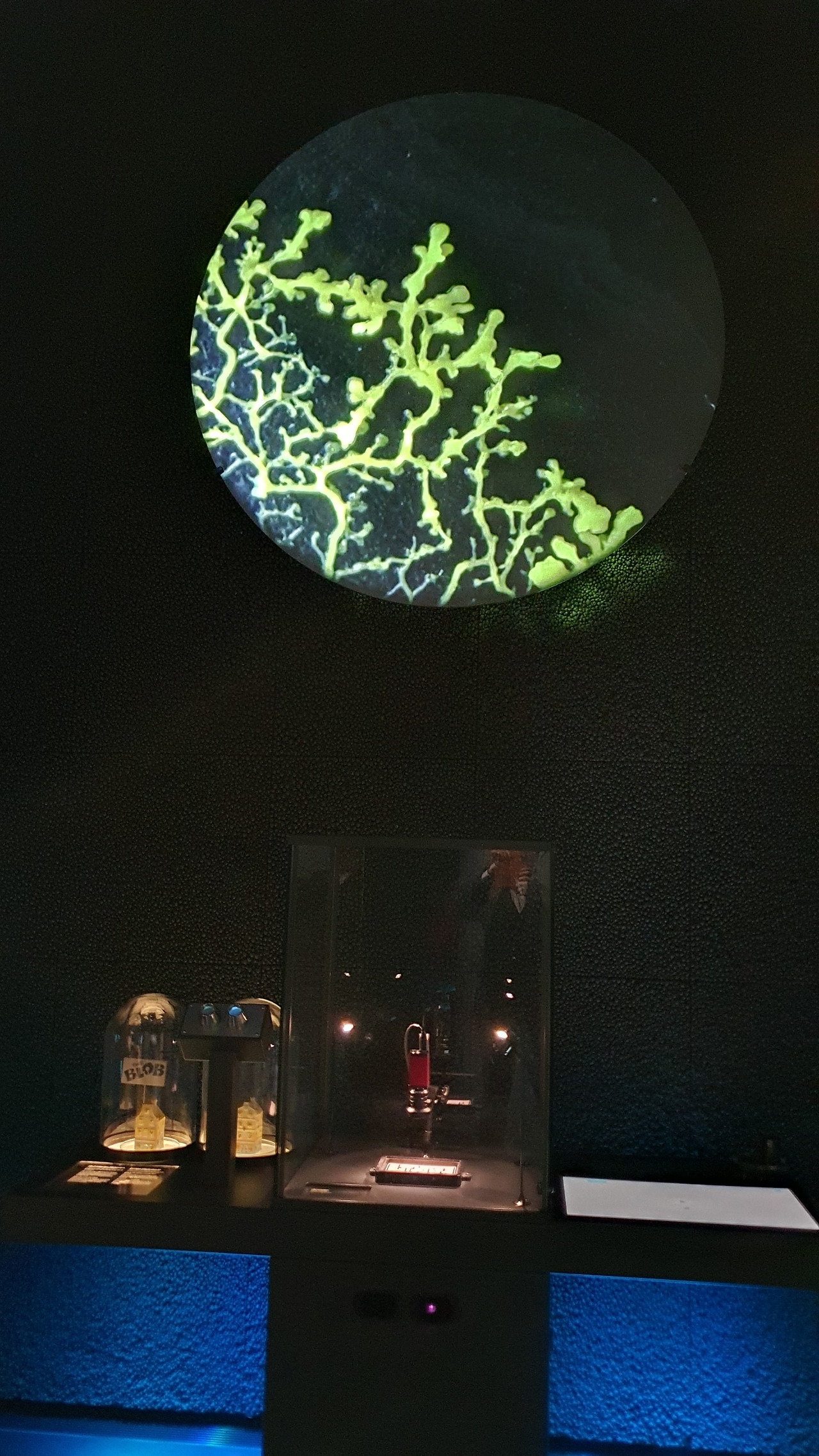 16 KakaoTalk_20230420_053613536_03.jpg