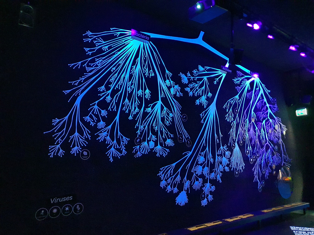 8. KakaoTalk_20230420_053706884_03.jpg