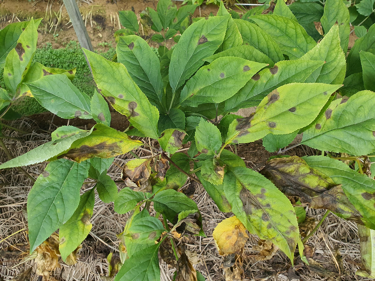 20200831_140134 (1).jpg