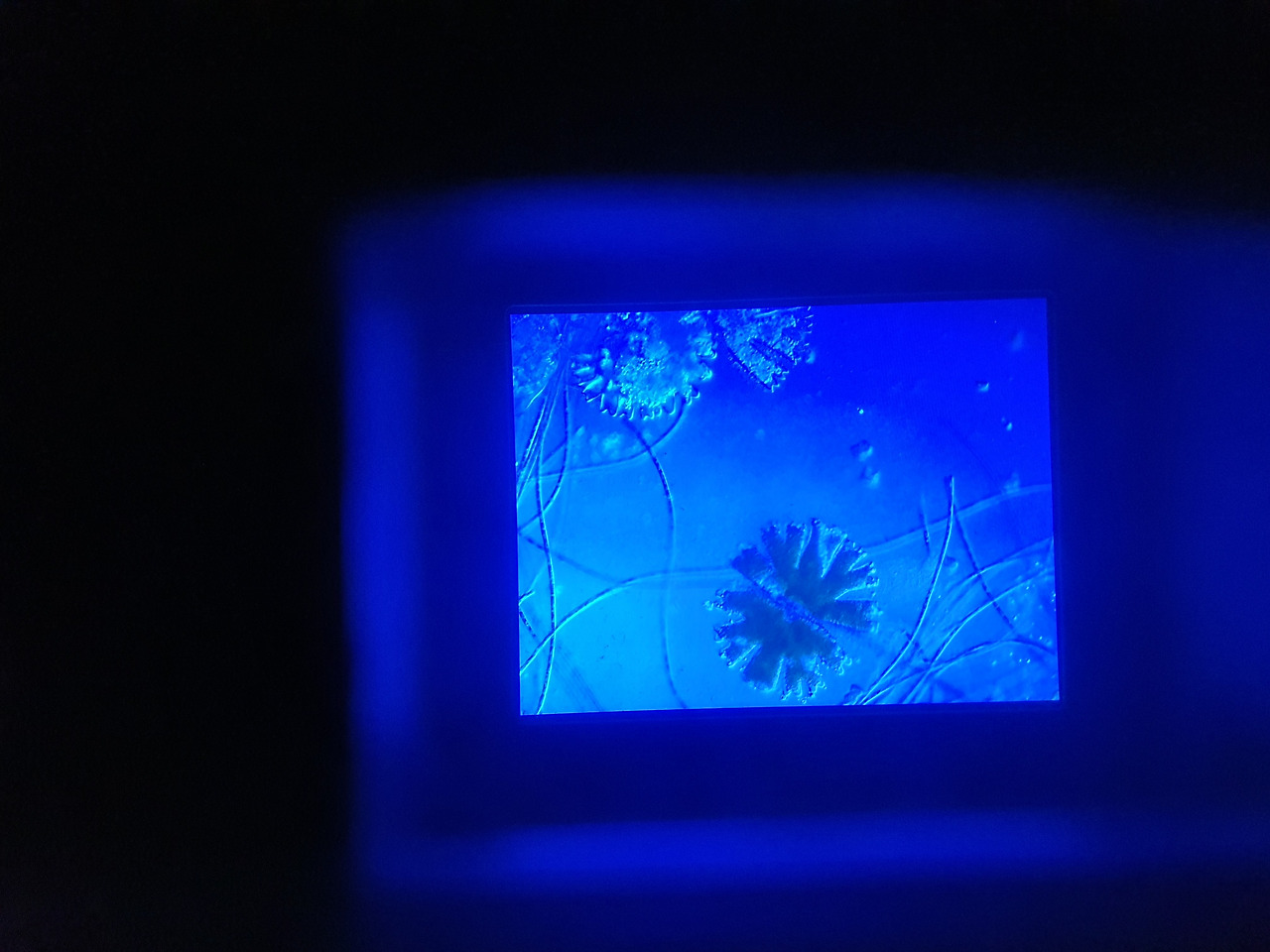 12. KakaoTalk_20230420_053613536_19.jpg