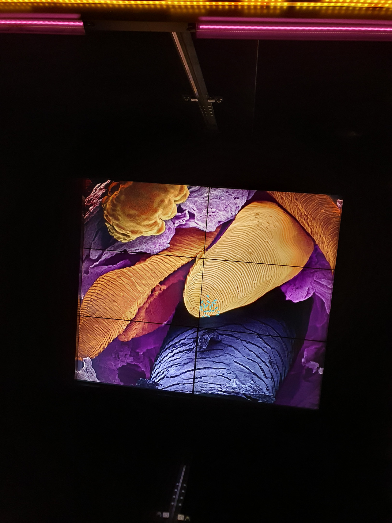 5. KakaoTalk_20230420_053706884_06.jpg