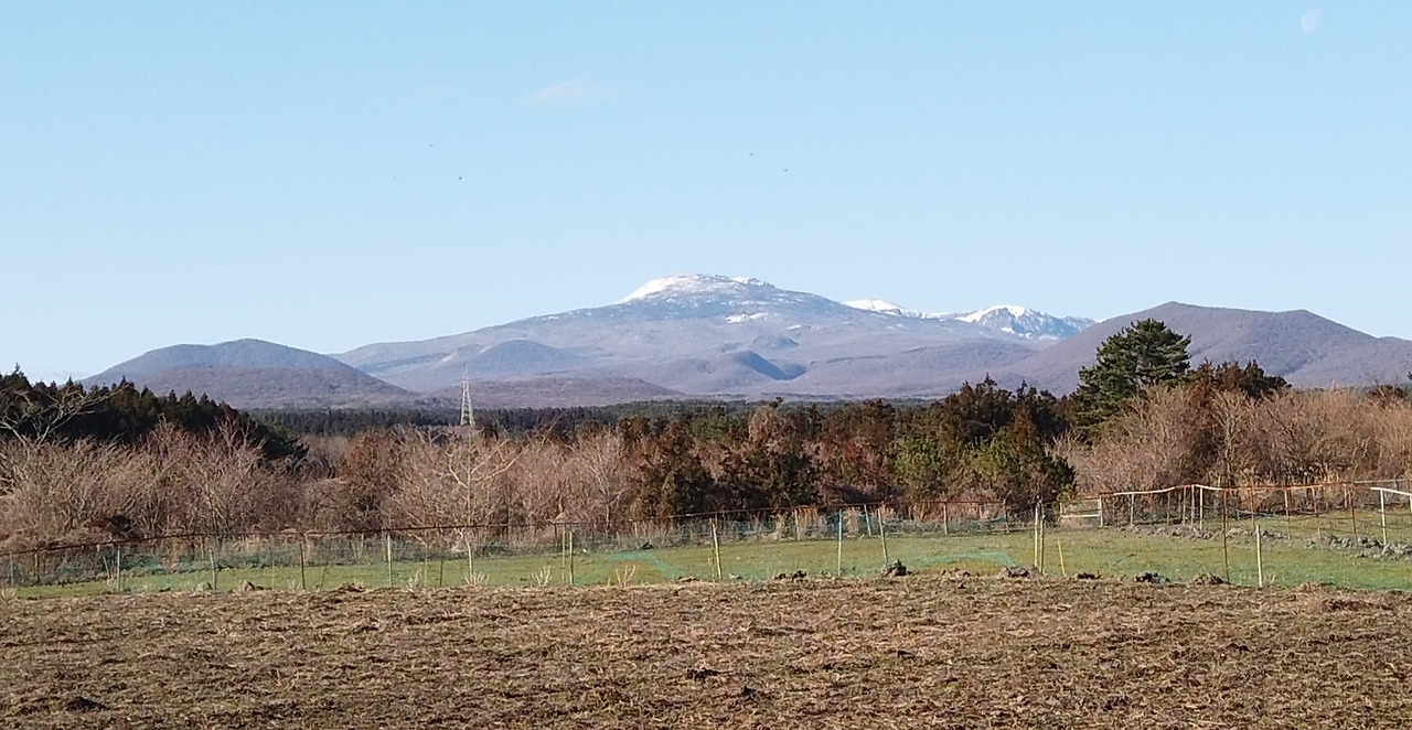 정희준 녹담만설.jpg