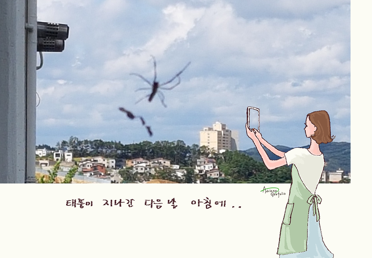 거미1.jpg