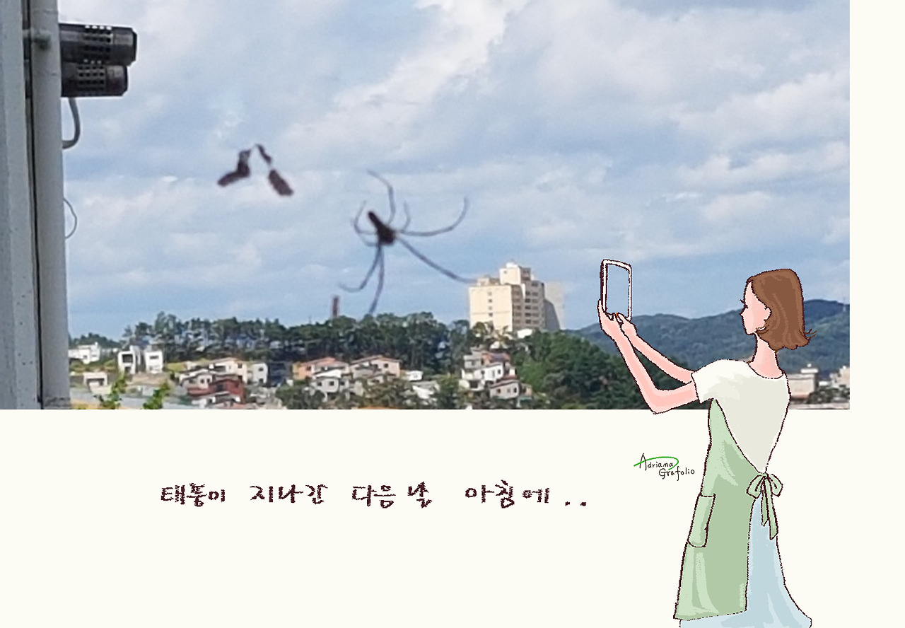 거미2.jpg