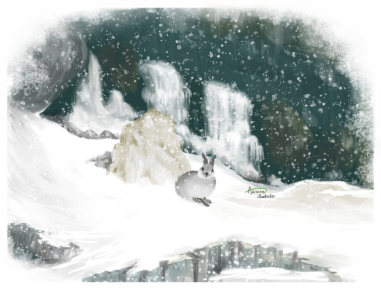 겨울산토끼.jpg