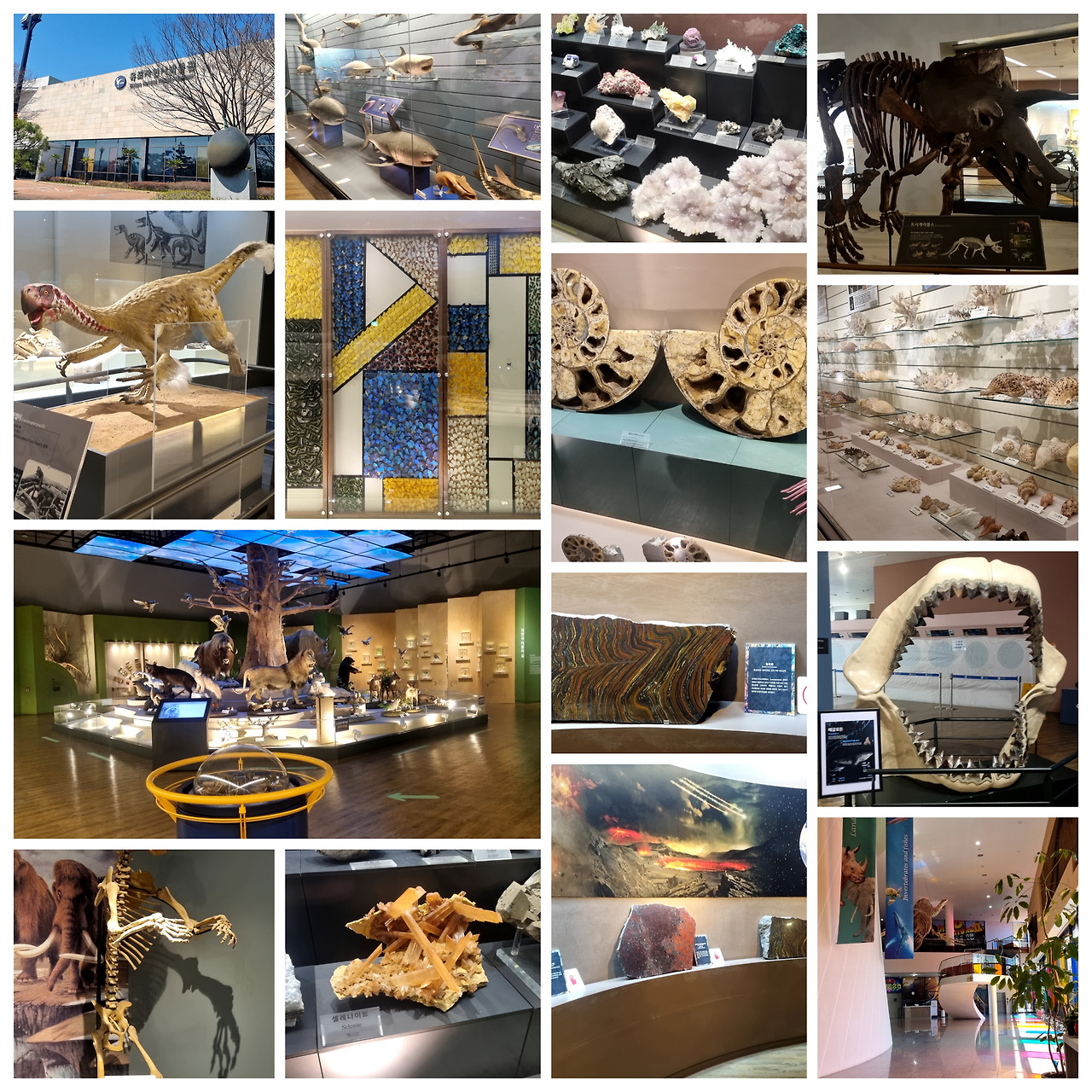 자연사01.jpg