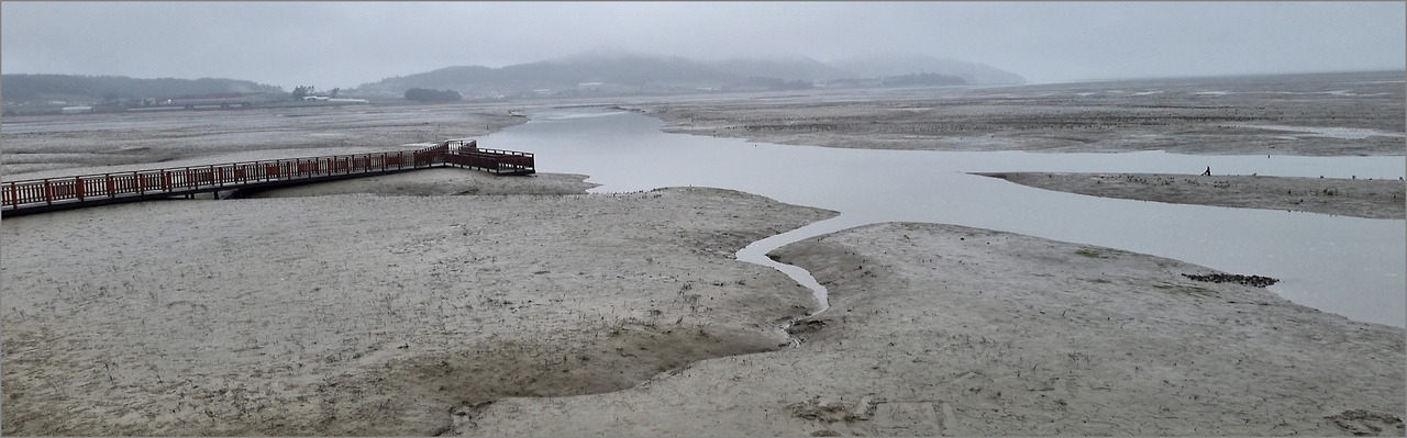 갯벌05-1.jpg