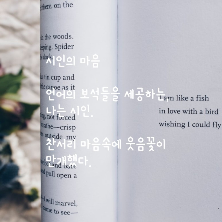 시인의 마음.jpg