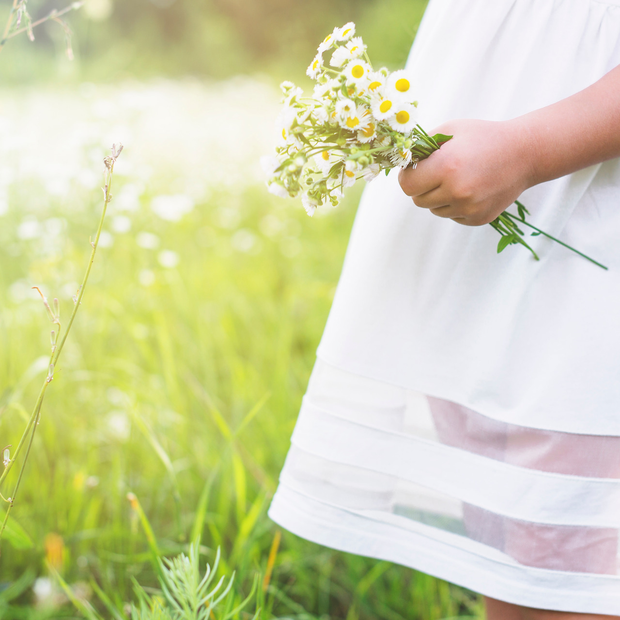 close-up-girl-holding-fresh-white-flowers-garden.jpg