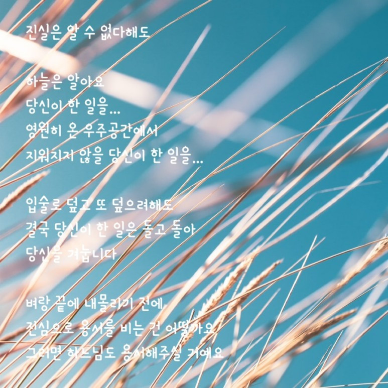 진실은 알 수 없다해도.jpg