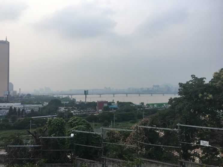 노량진 한강.jpg