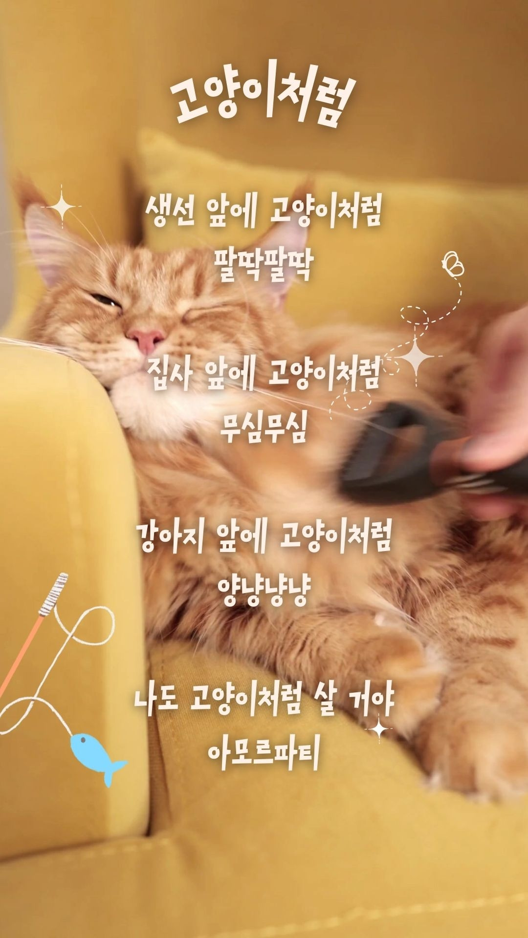 노란색 심플한 고양이 브이로그 모바일 동영상.jpg