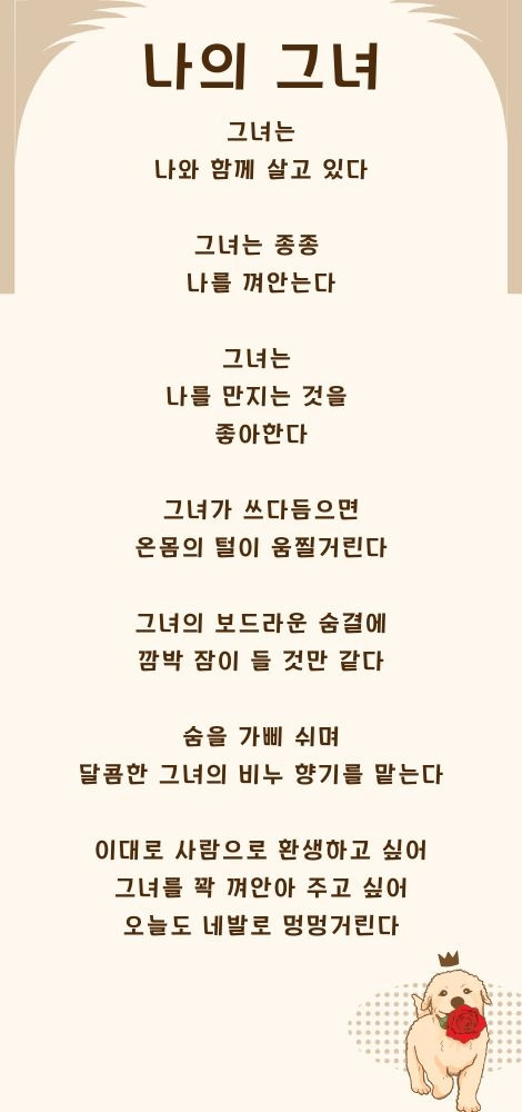 베이지색과 갈색의 일러스트 반려견 생일 맞이 성장 브이로그 유튜브 동영상 (470 x 850 px) (470 x 1000 px).jpg