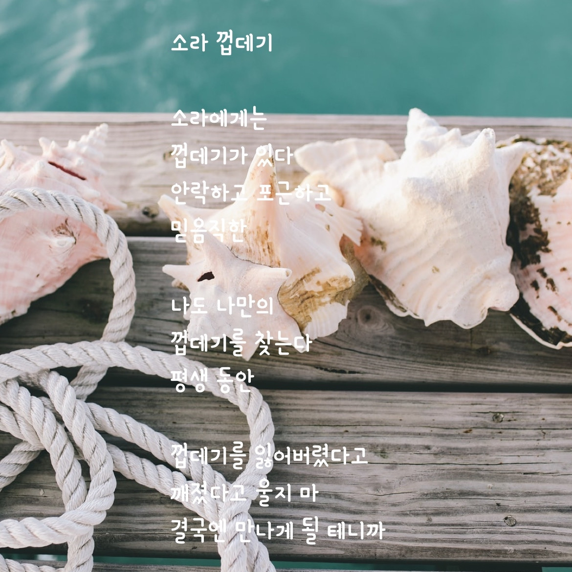 소라 껍데기.jpg