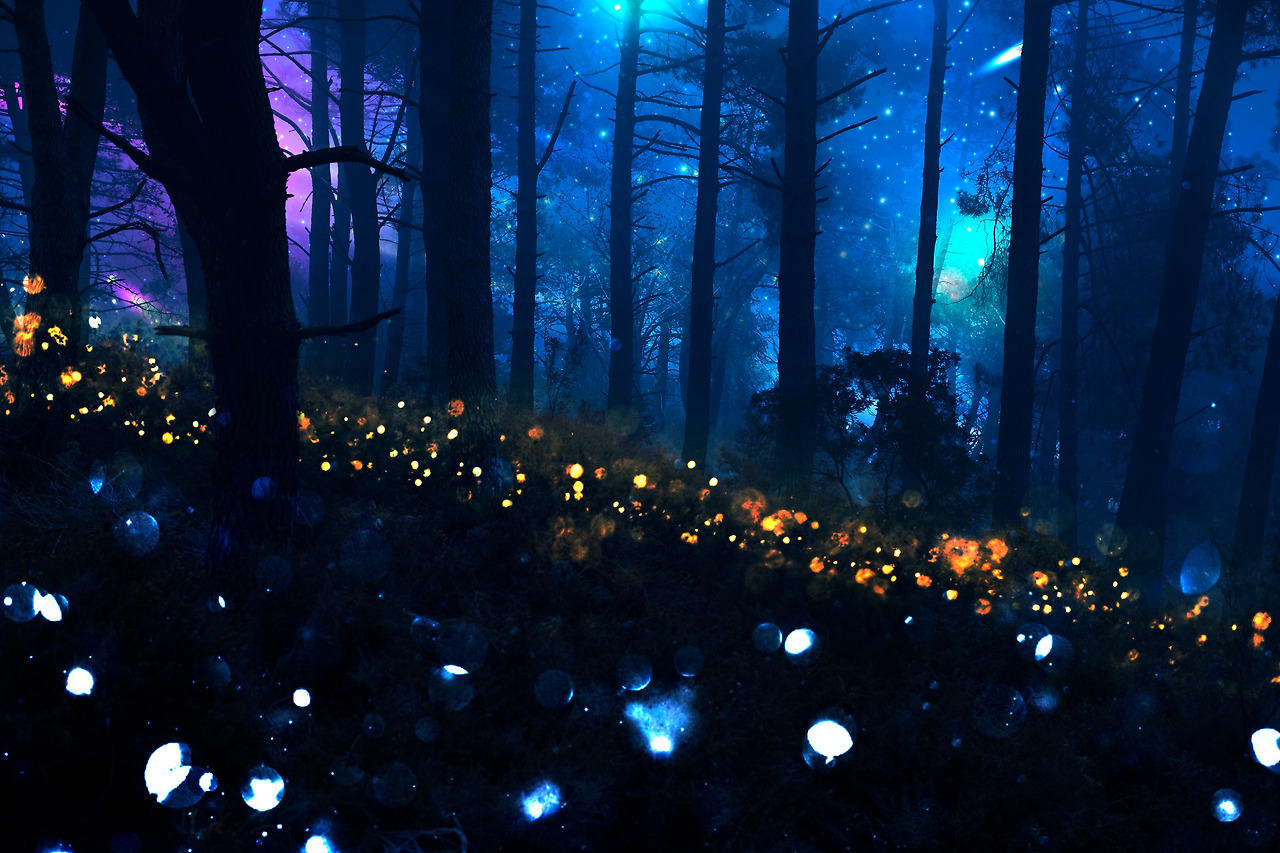 magical-nighttime-landscape-with-sparkly-lights.jpg