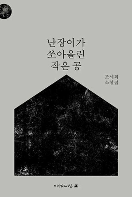 난쟁이가 쏘아올린 작은 공.jpg