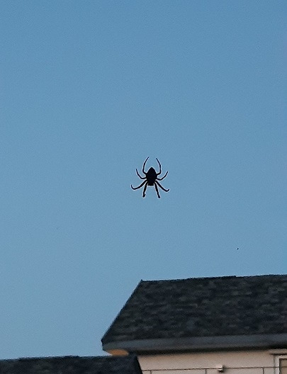 KakaoTalk_20220914_133904719_02 봉평2-1.jpg