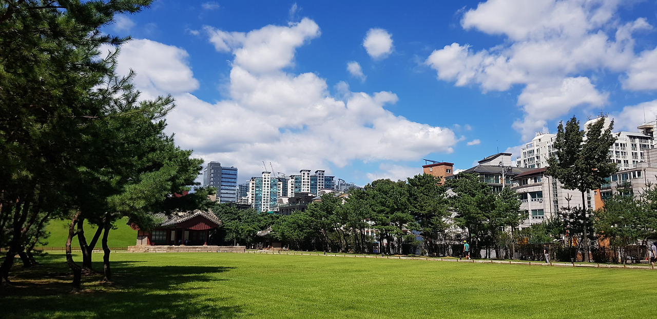 선정릉의 주말.jpg