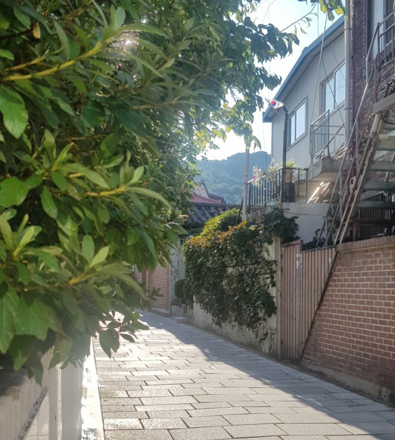 서촌 골목산책.jpg