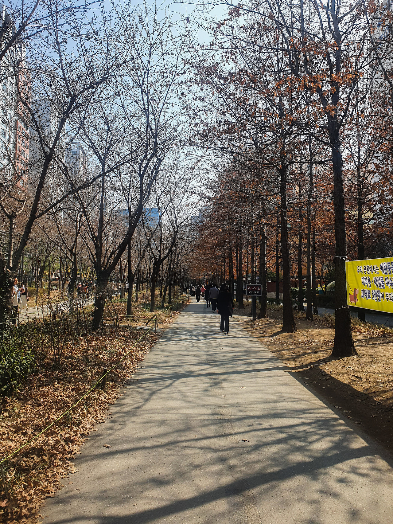 스플라운지 공덕역 (31).jpg