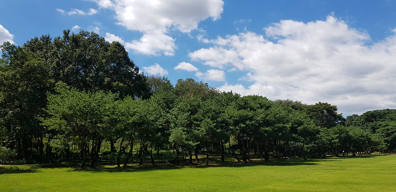 선정을의 주말2.jpg