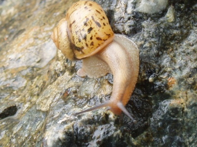 ○▶Love♡Book◀○[8] -비가 내리면 . . .-.jpg