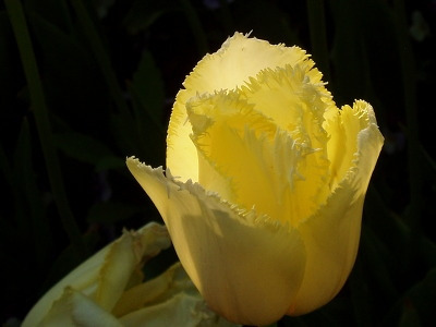 ○▶Love♡Book◀○[193] -정할 수 없는...-.jpg