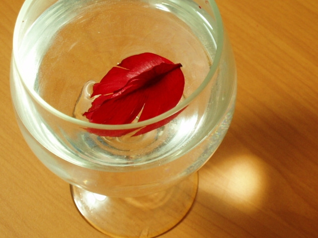 ○▶Love♡Book◀○[85] - Love study -.jpg