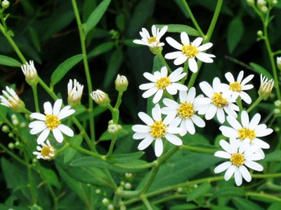 ○▶Love♡Book◀○[133] - 정말 사랑한다면 -.jpg