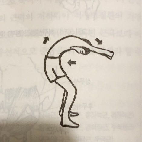 허리를뒤로젖힙시다_김진태.jpg
