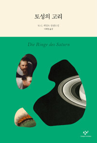 토성의 고리.jpg