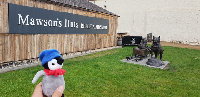 2018-11-04 14.59.24.jpg