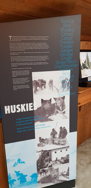 2018-11-04 14.37.58.jpg