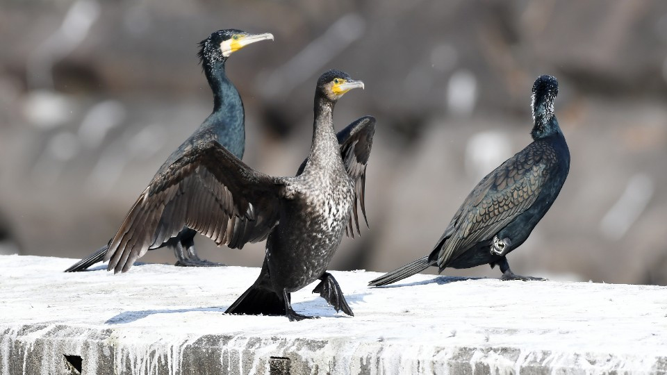 2018-08-24 15.20.17.jpg