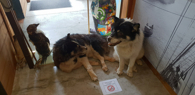 2018-11-04 14.34.12.jpg