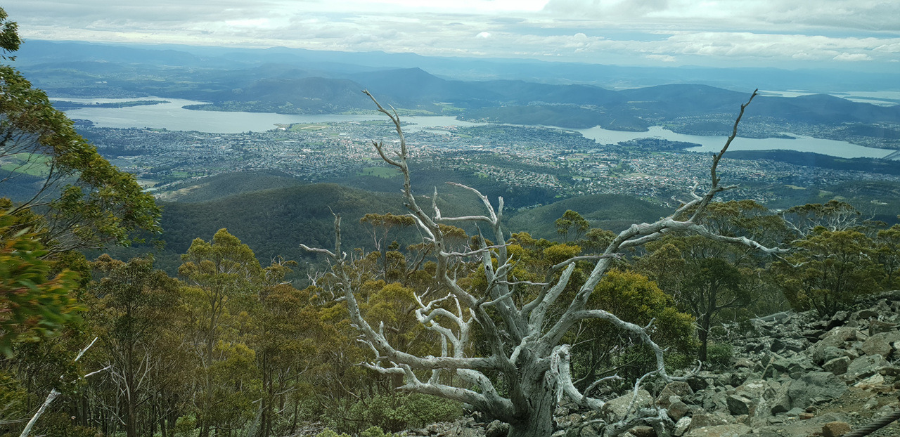 2018-11-05 11.26.16.jpg