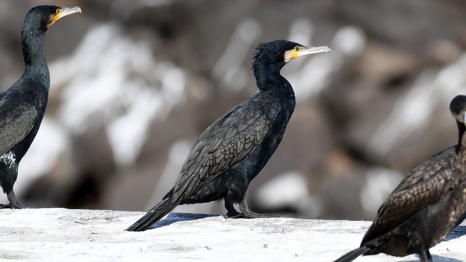 2018-08-24 15.20.12.jpg