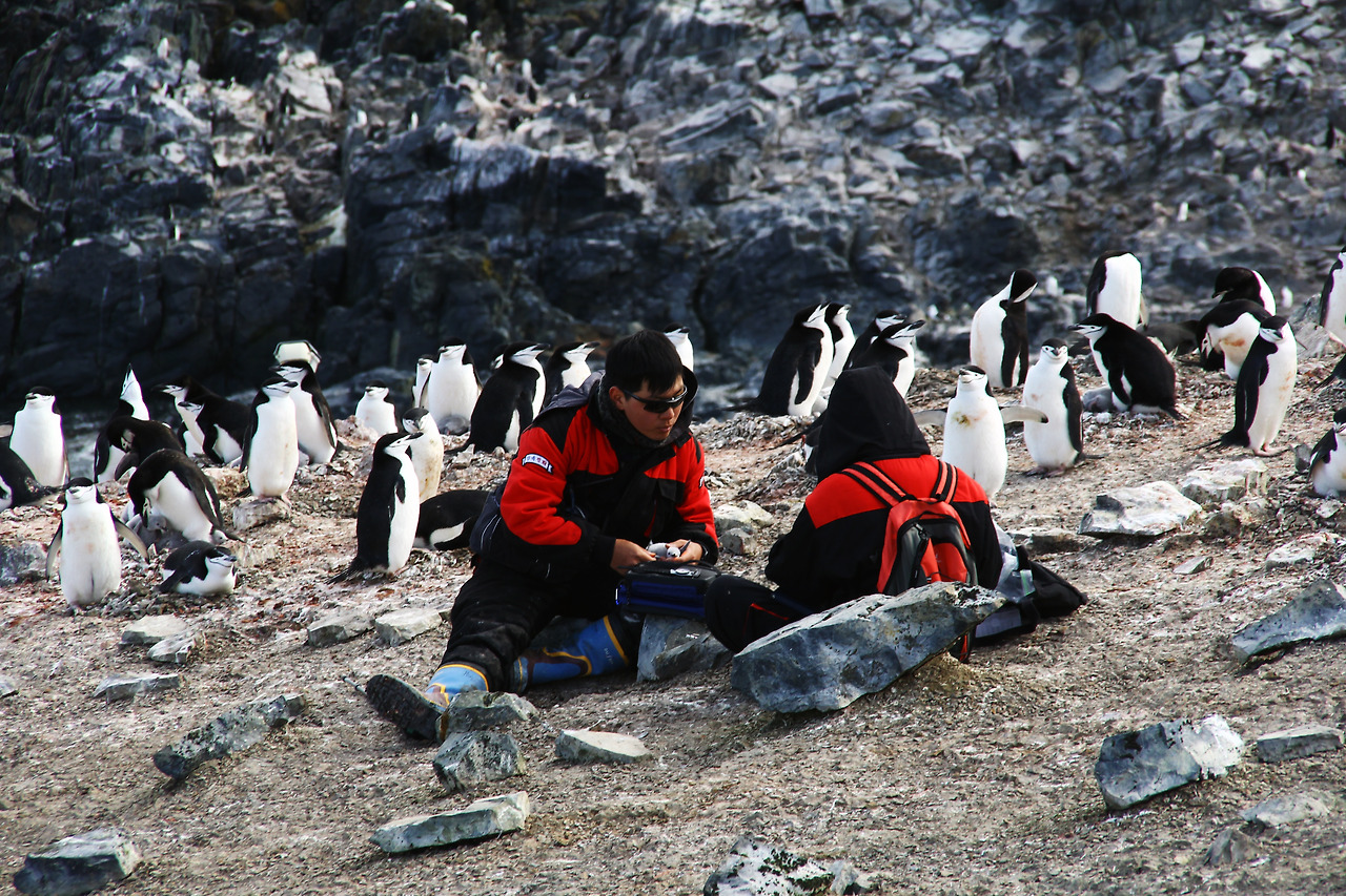 극지생명_정진우_펭귄연구_세종펭귄마을.jpg