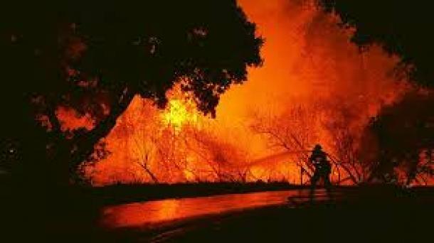 캘리포니아 산불.jpg