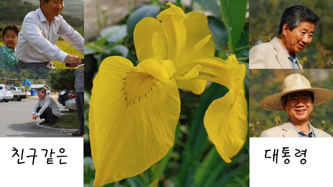 친구같은 대통령.jpg