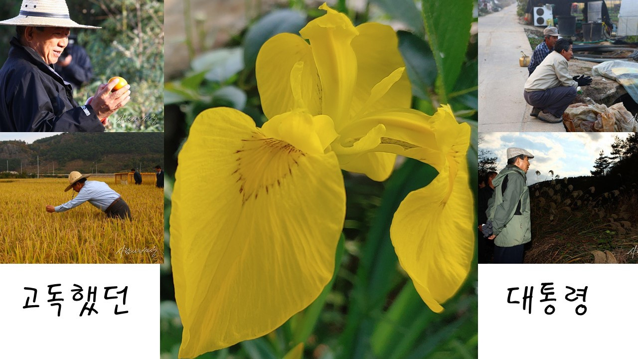 고독했던 대통령.jpg