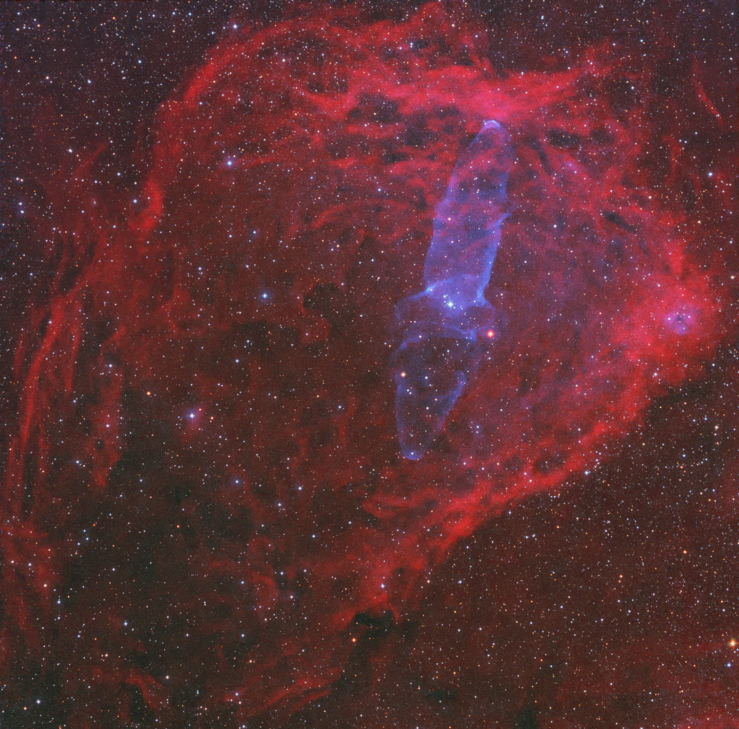 01. 대상_장승혁_거대 우주 오징어_심우주.jpg