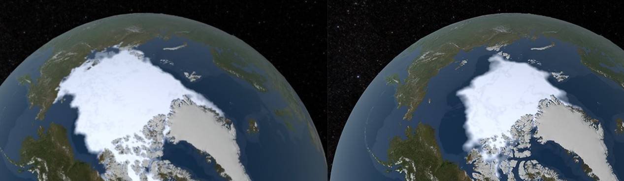 바다얼음 (1979과 2019).jpg