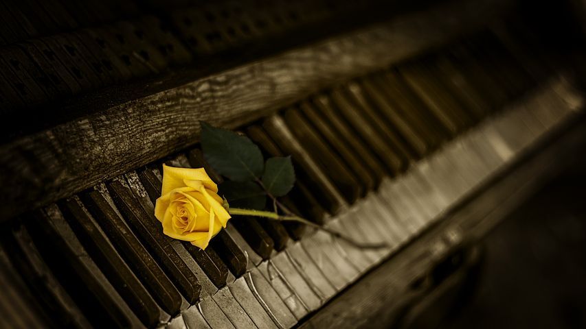 piano-1239729__480.jpg