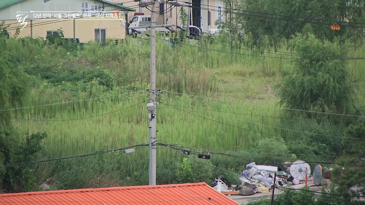 개구리 뜀.jpg